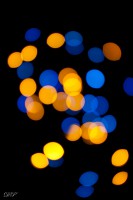 /album/mais-aussi-/img-7078-jpg/