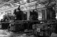/album/friches/img-4082-dpp-jpg/