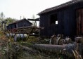 /album/friches/mg-4217-dxo-jpg/